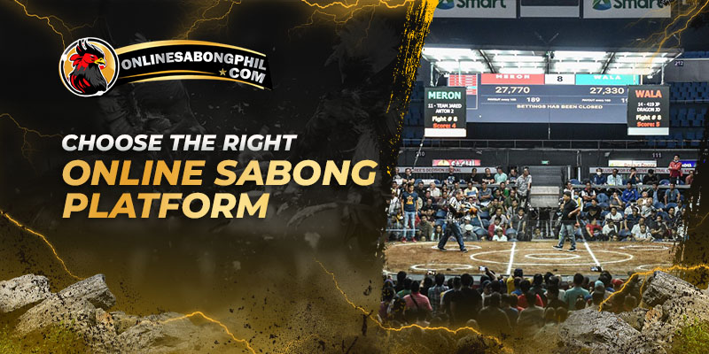 Choose the Right Online Sabong Platform for You