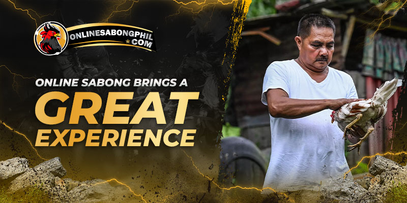 Online sabong brings a great experience